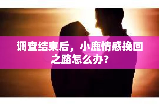 调查结束后，小鹿情感挽回之路怎么办？