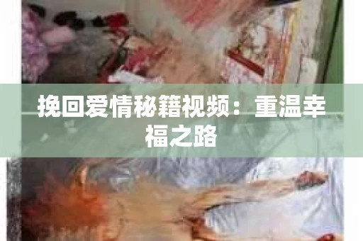 挽回爱情秘籍视频：重温幸福之路