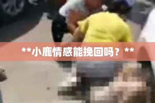 **小鹿情感能挽回吗？**