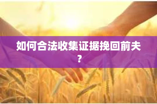 如何合法收集证据挽回前夫? 如何合法收集证据挽回前夫?