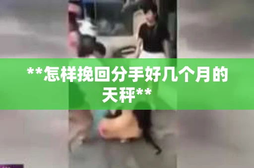 **怎样挽回分手好几个月的天秤**