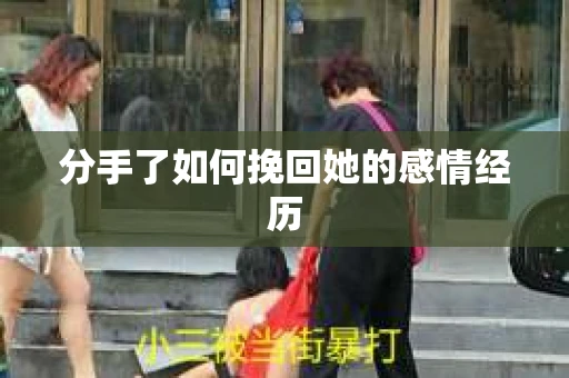 分手了如何挽回她的感情经历