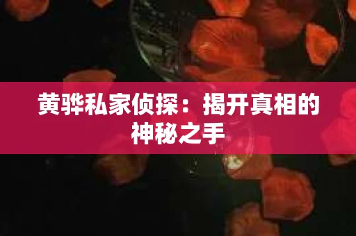 黄骅私家侦探：揭开真相的神秘之手