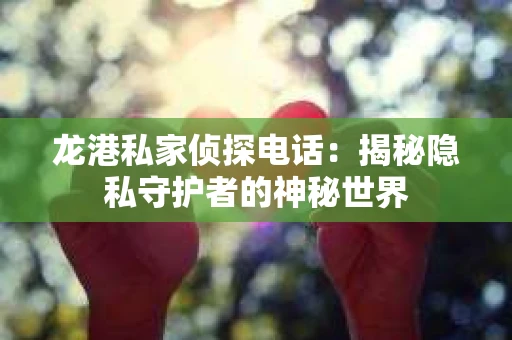 龙港私家侦探电话：揭秘隐私守护者的神秘世界