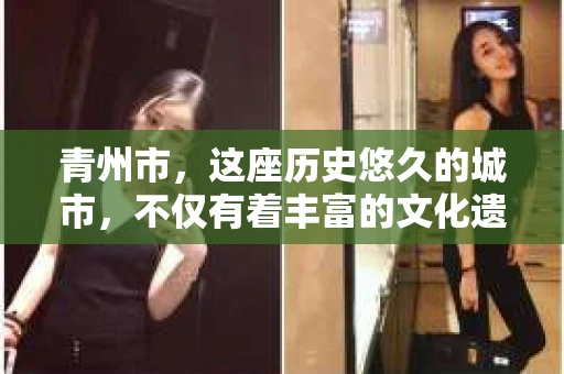 青州市，这座历史悠久的城市，不仅有着丰富的文化遗产，也有着现代生活的便捷。那么，问题来了——青州市有私家侦探公司吗？这个问题，对于需要侦探服务的人来说，无疑至关重要。接下来，我就来为大家揭开这个谜底。