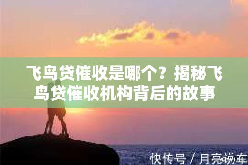 飞鸟贷催收是哪个？揭秘飞鸟贷催收机构背后的故事