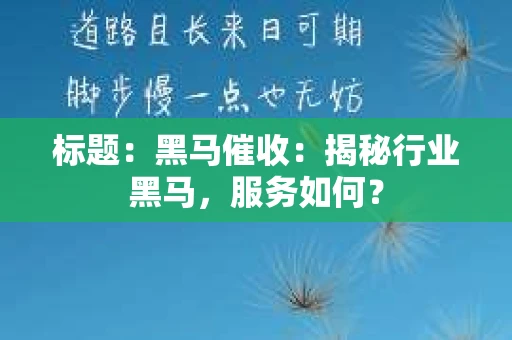 标题:黑马催收:揭秘行业黑马,服务如何? 标题:黑马催收:揭秘行业黑马,服务如何?
