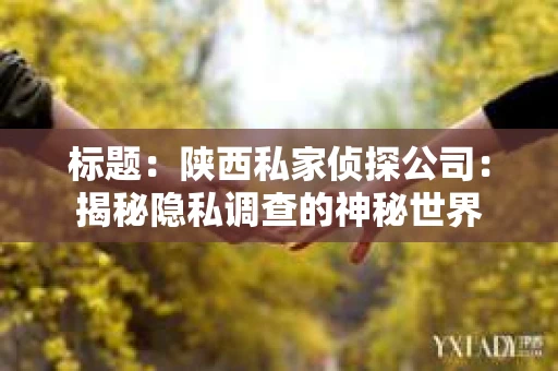 标题：陕西私家侦探公司：揭秘隐私调查的神秘世界