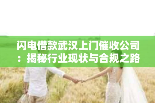 闪电借款武汉上门催收公司：揭秘行业现状与合规之路