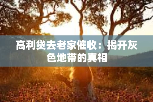 高利贷去老家催收：揭开灰色地带的真相