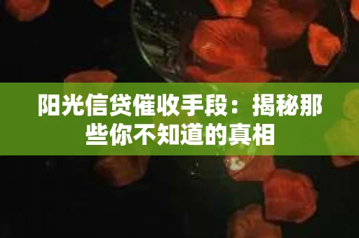 阳光信贷催收手段：揭秘那些你不知道的真相