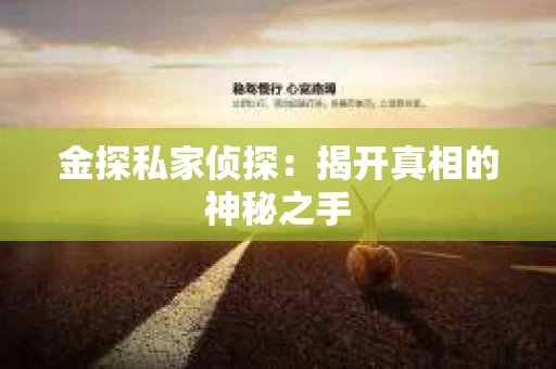 金探私家侦探：揭开真相的神秘之手