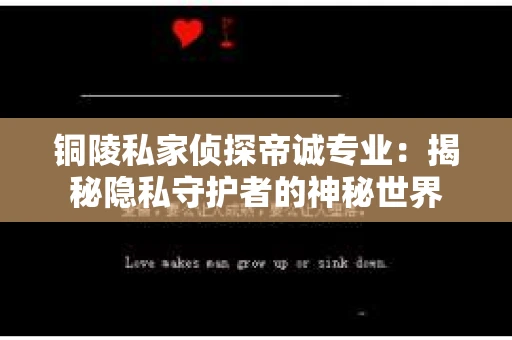 铜陵私家侦探帝诚专业：揭秘隐私守护者的神秘世界