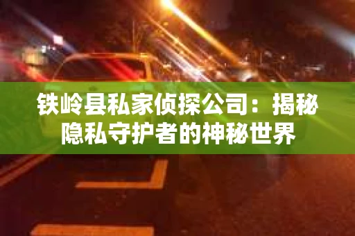 铁岭县私家侦探公司：揭秘隐私守护者的神秘世界