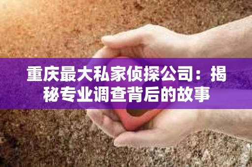 重庆最大私家侦探公司：揭秘专业调查背后的故事
