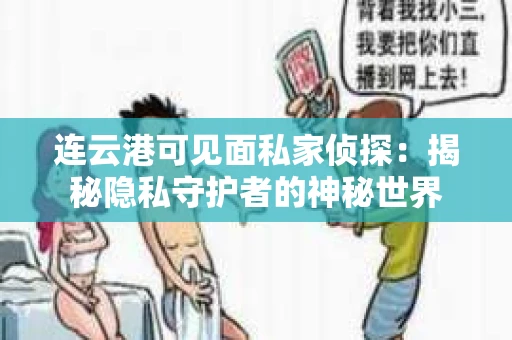 连云港可见面私家侦探：揭秘隐私守护者的神秘世界