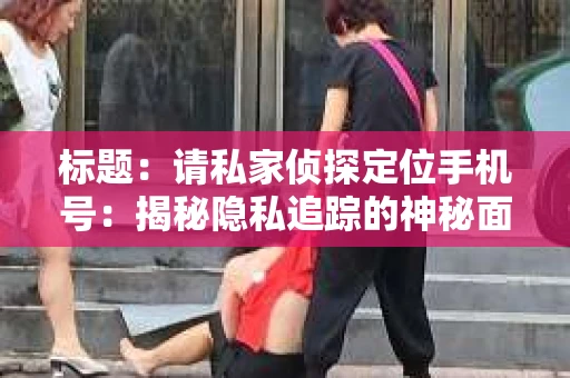 标题：请私家侦探定位手机号：揭秘隐私追踪的神秘面纱