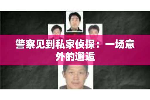 警察见到私家侦探：一场意外的邂逅