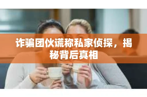 诈骗团伙谎称私家侦探，揭秘背后真相
