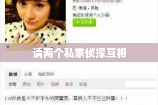 请两个私家侦探互相