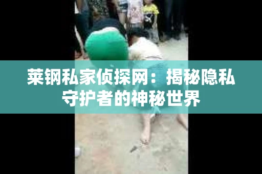 莱钢私家侦探网：揭秘隐私守护者的神秘世界