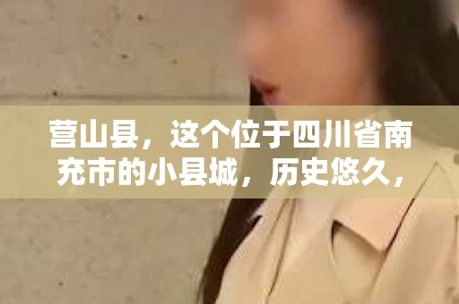 营山县，这个位于四川省南充市的小县城，历史悠久，风景秀丽。但在这个宁静的小县城里，你是否会好奇，有没有私家侦探的存在呢？今天，我就来和大家聊聊这个话题。