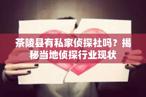 茶陵县有私家侦探社吗？揭秘当地侦探行业现状