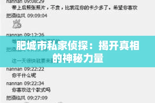 肥城市私家侦探：揭开真相的神秘力量