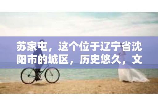 苏家屯，这个位于辽宁省沈阳市的城区，历史悠久，文化底蕴深厚。近年来，随着社会的发展，人们对于私家侦探的需求也逐渐增加。那么，苏家屯有私家侦探吗？今天，我们就来聊聊这个话题。