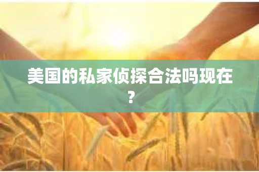 美国的私家侦探合法吗现在？
