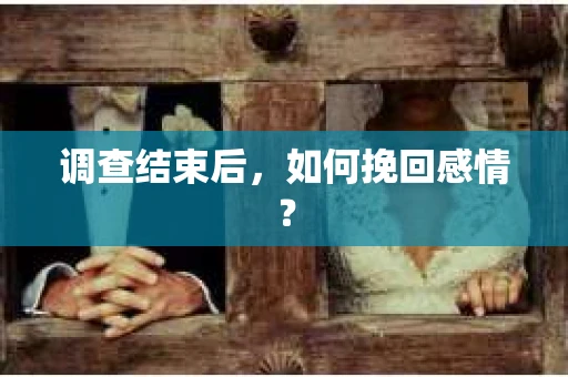 调查结束后,如何挽回感情? 调查结束后,如何挽回感情?