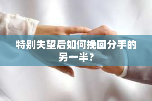 特别失望后如何挽回分手的另一半？