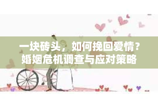 一块砖头，如何挽回爱情？婚姻危机调查与应对策略