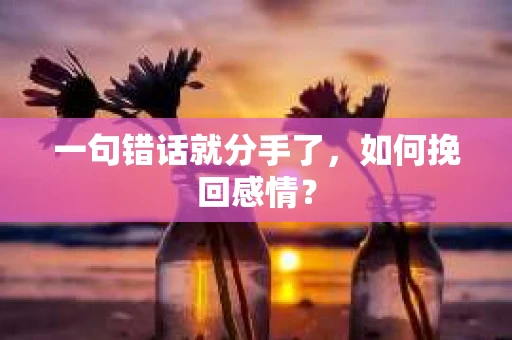 一句错话就分手了，如何挽回感情？