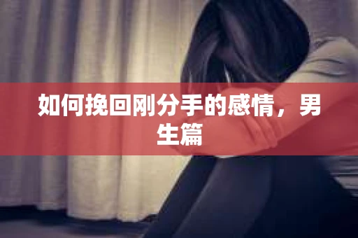 如何挽回刚分手的感情，男生篇