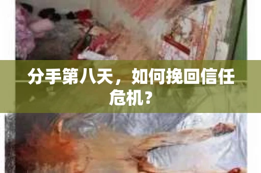 分手第八天，如何挽回信任危机？