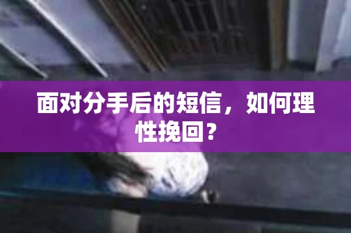 面对分手后的短信，如何理性挽回？