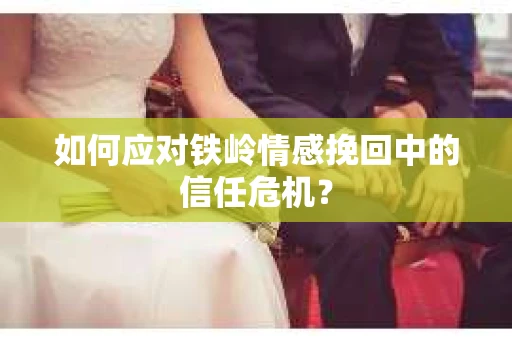 如何应对铁岭情感挽回中的信任危机？